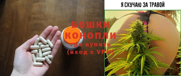 амф Гусев