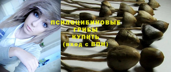 герыч Ельня